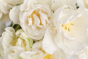 Obraz na płótnie Canvas white flower as background