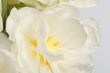 Naklejka na ściany i meble White spring flower close up view, for wedding background