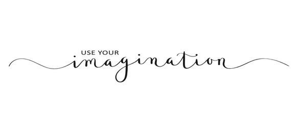 USE YOUR IMAGINATION brush calligraphy banner © HowLettery Studio