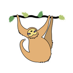 Vector illustration of cute character sloth