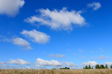 White clouds in the blue sky over the meadow on a sunny summer day