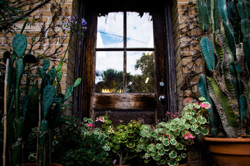 window with flowers