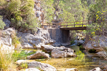 Fototapeta na wymiar bridge over a river between rocks in a wood