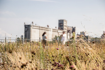 Obraz premium view of the city with flowers