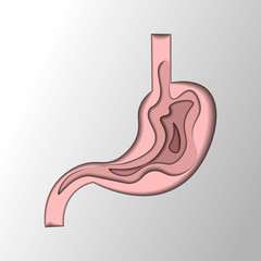Fototapeta premium Stomach paper cut style. Human internal organs symbol. Digestive system anatomy.