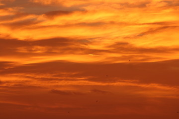 Sunset Sky Background