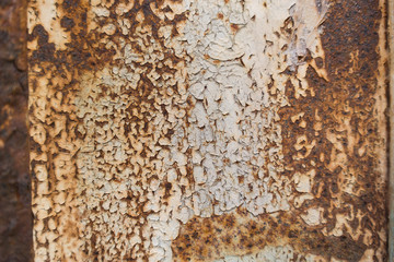 Rusted metal texture - Bilder