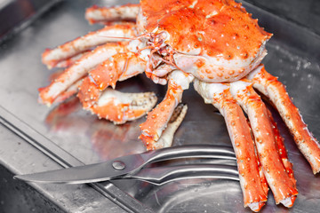 Carving fresh red big boiled prepared blue kamchatka crab with scissors. Concept useful seafood in menu, chef premium restaurant preparing crab for serving for guests, clients