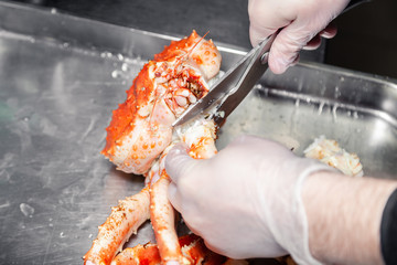 Cook chef is carving fresh red big boiled prepared blue kamchatka crab with scissors. Concept useful seafood in a menu, chef of premium restaurant preparing crab for serving for guests, clients