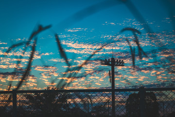 Naklejka premium sunset with blue sky