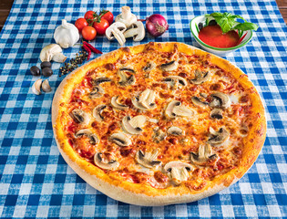 Mushroom pizza with cheese