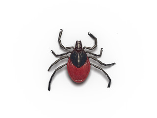 harvest mite danger 