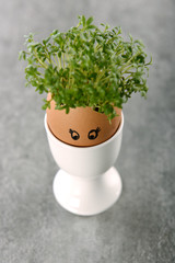 jajka wielkanocne © PAWEL