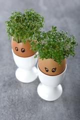 jajka wielkanocne © PAWEL