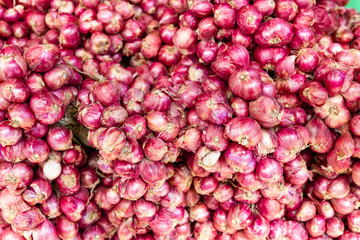 Shallot red onion for As an ingredient in cooking with its presence in many food items