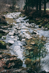 Thur riverbed in Switzerland