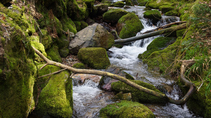 water fall with fallen trees thrift wood in black forest