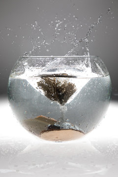 Splashes of water