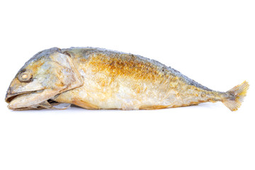 Fried mackerel isolated on white background.