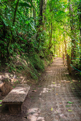 Mistico Arenal Hanging Bridges Park