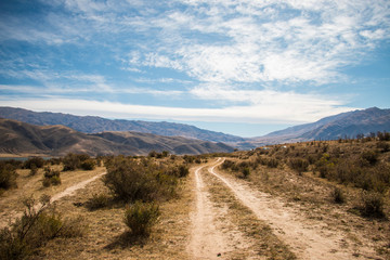 way  in the landscape