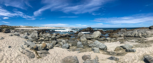 Panorama beautiful beach at west coast national park , cape town south africa