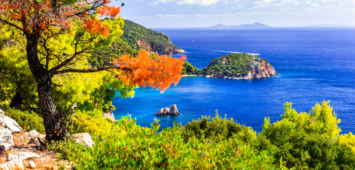 Beautiful beaches and nature of Skopelos island. Stafilos bay. Northen Sporades of Greece - obrazy, fototapety, plakaty