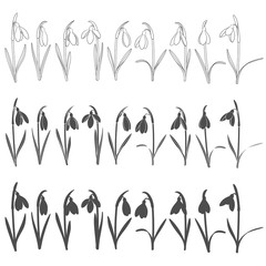 Set of black and white illustrations with snowdrops. Isolated vector objects on white background.