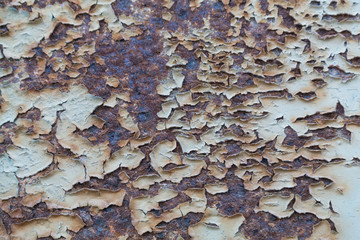 close-up rusted metal texture - Bilder