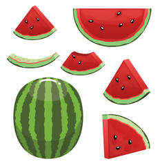 Watermelon Eatting Piece Cartoon Vector