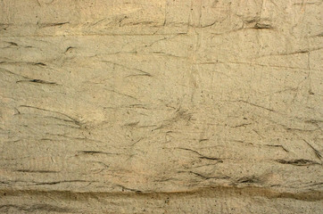 Old wooden board, background