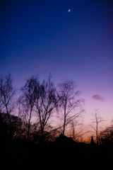 Moonset over church and trees