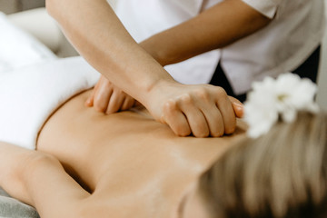 Obraz na płótnie Canvas Masseur doing back massage to young woman.