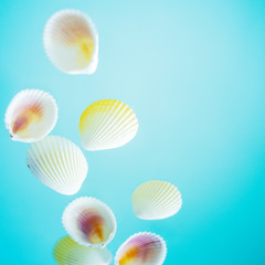Summer creative concept. Minimal style with seashells on turquoise background with copy space.