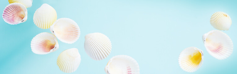 Summer creative concept. Minimal style with seashells on turquoise background with copy space. Long wide banner.