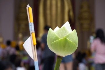Hand holding lotus flower and incense sticks prepare by Buddhist for praying to Buddha