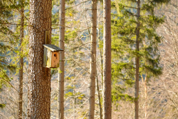 Wooden booth for birds on the tree.