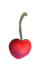 cherry food hand drawn watercolor illustration