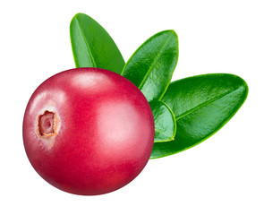 Cranberry isolated Clipping Path