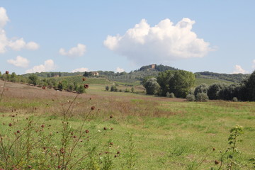 toscana