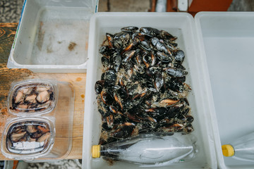 Different kind of fresh, red snappers at the local market. Fresh tropical fish on the tray. Assorted fresh sea fishes on market or bazaar counter. Nutrition, clean eating, healthy lifestyle concept.