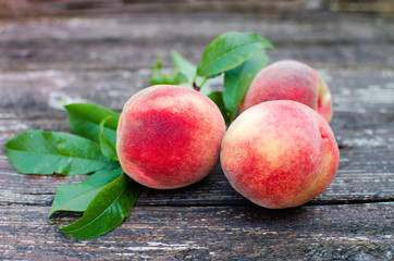 The big fruit reached a peach grows on a branch