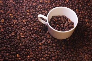 coffee beans in a cup