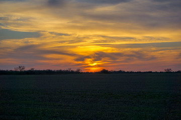 sunset over green field