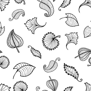  pattern of outlines of decorative leaves © Amili