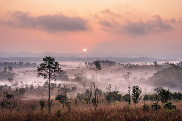 Thung Salaeng Luang National Park, Dramatic shine silhouette tree colorful warm above mountain at Phetchabun Province,Thailand