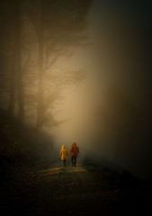 Female hiker walking under the rays of the morning sun in the mountain forest