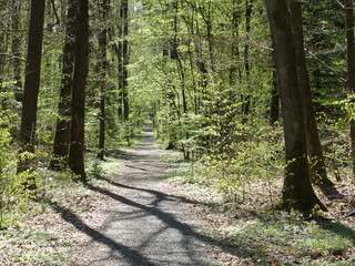 Obraz premium Frühling.