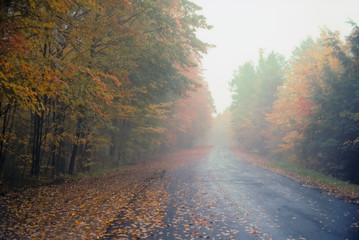 Obraz premium Mist and fog enshrouds forest and road in autumn, Adirondack Park, New York