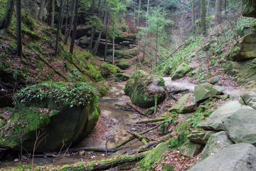 Mystical Forest Landscape In Hocking Hills State Park In Ohio.